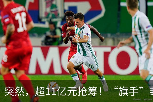 突然，超11亿元抢筹！“旗手”封死涨停，发生了什么？
